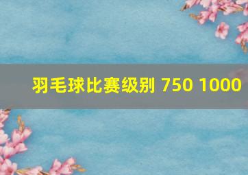 羽毛球比赛级别 750 1000